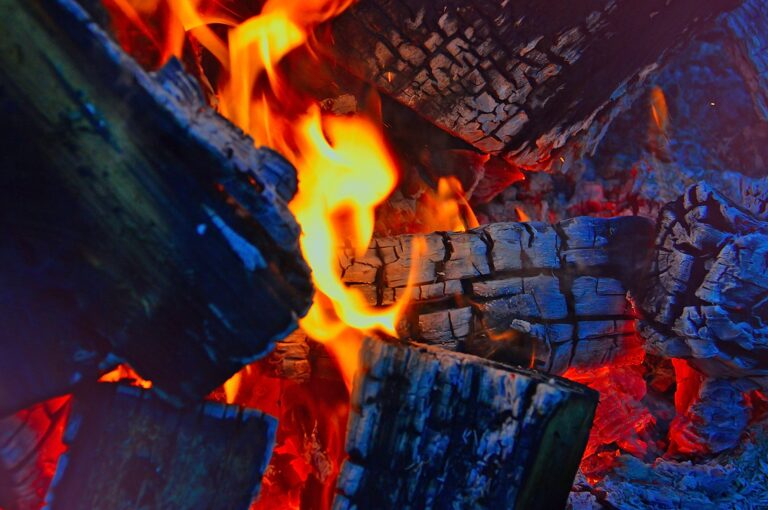 Which Fuel Type Is Best: Lump Charcoal, Briquettes, Pellets, or Wood? ByGonzo BBQ Grills Santa Maria Style